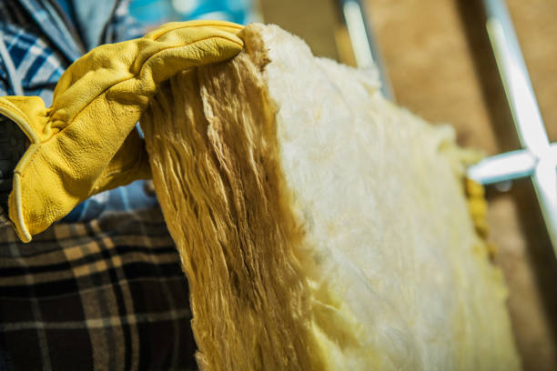Best Insulation Maintenance and Repair in Issaquah, WA