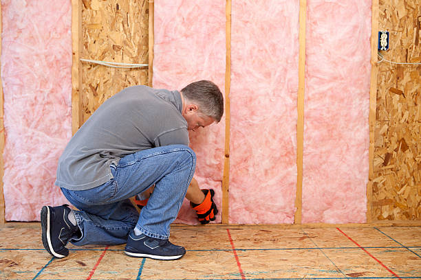 Best Residential Insulation in Issaquah, WA