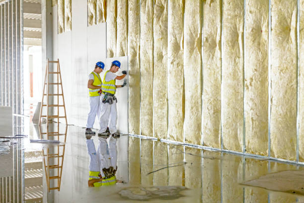 Best Insulation for Specific Applications in Issaquah, WA